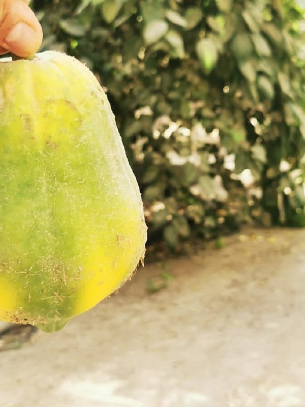 5801154302155276949_120