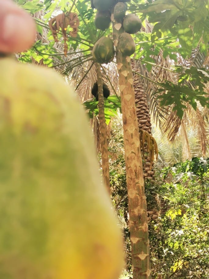 5801154302155276951_121