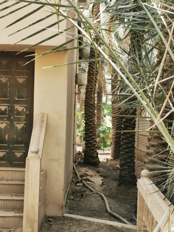 5801154302155276952_121-600×800