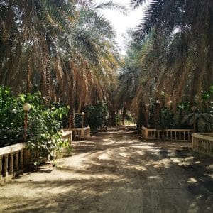 5801154302155276954_121-300×300