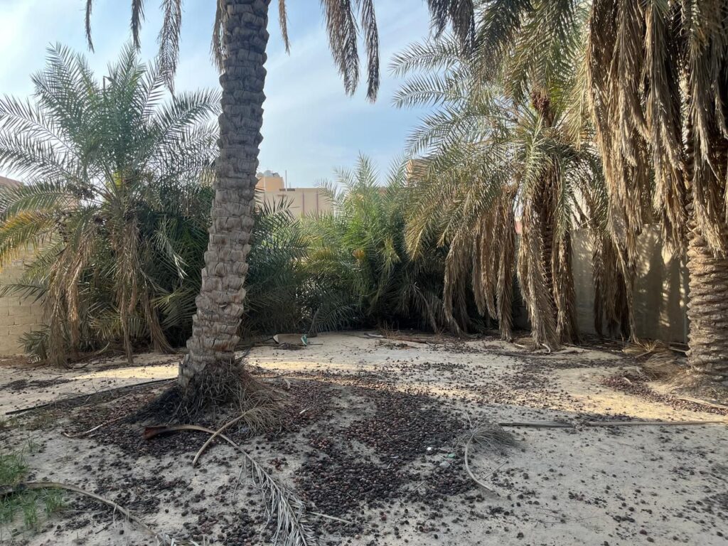 WhatsApp Image 2025-07-20 at 12.59.07_79fa1541